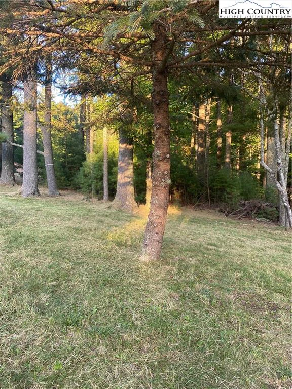 Image number 4 for the current listing
