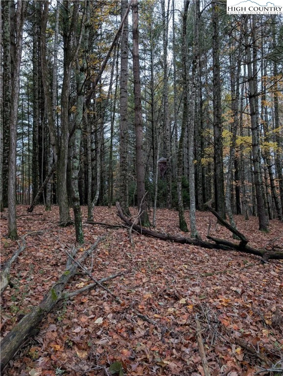 Image number 10 for the current listing