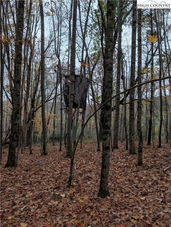 Image number 5 for the current listing