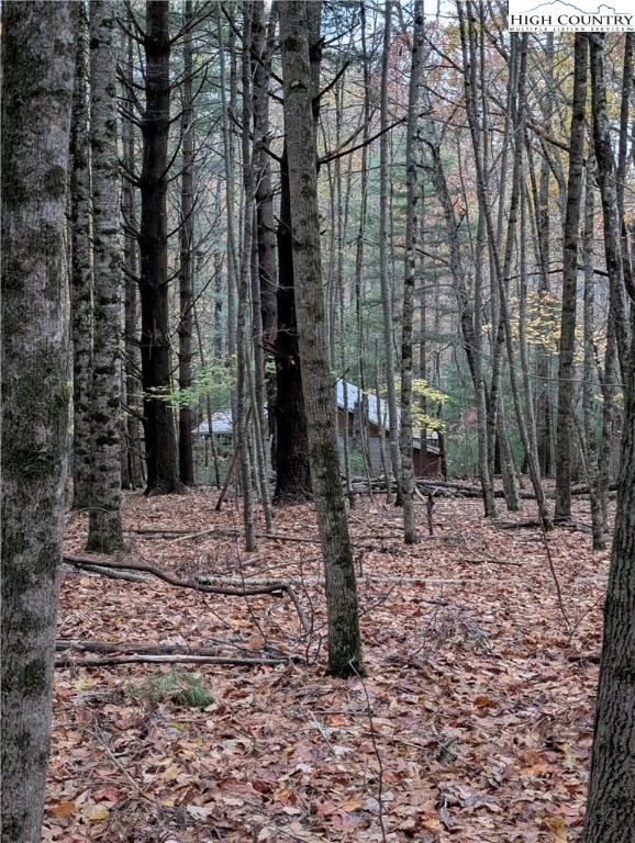 Image number 6 for the current listing
