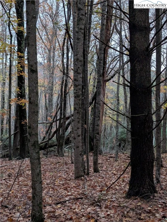 Image number 7 for the current listing