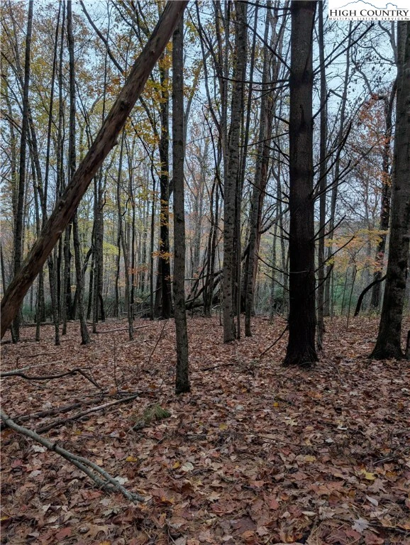 Image number 8 for the current listing