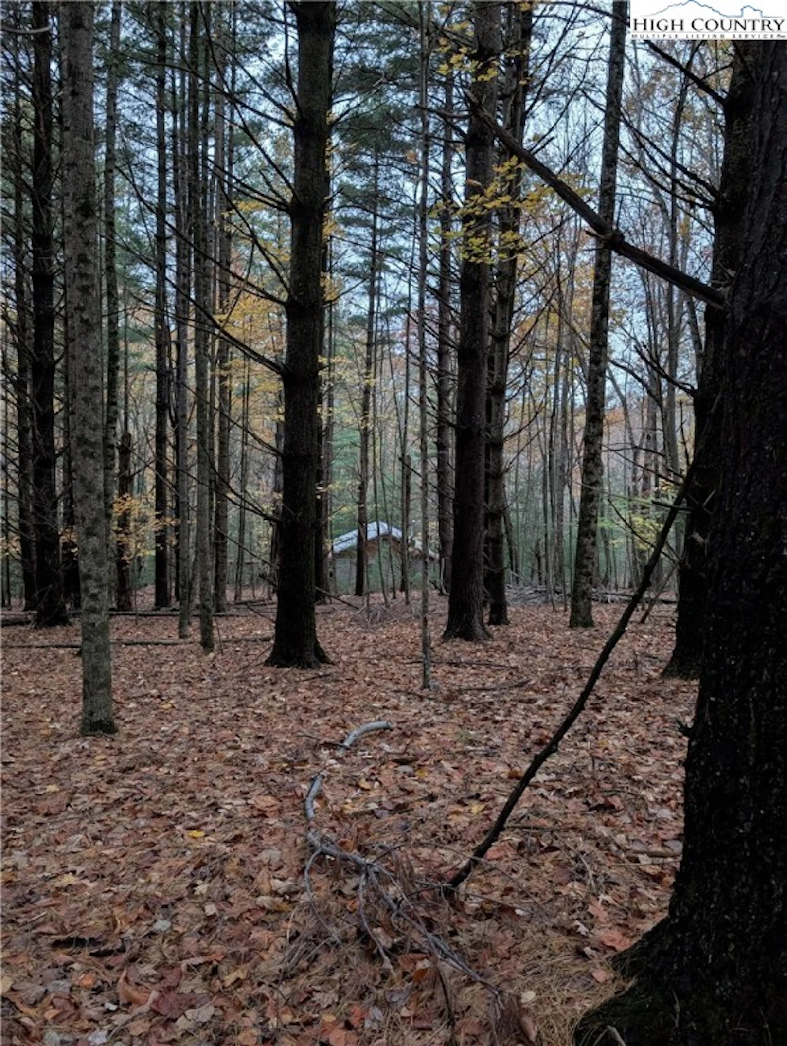 Image number 9 for the current listing