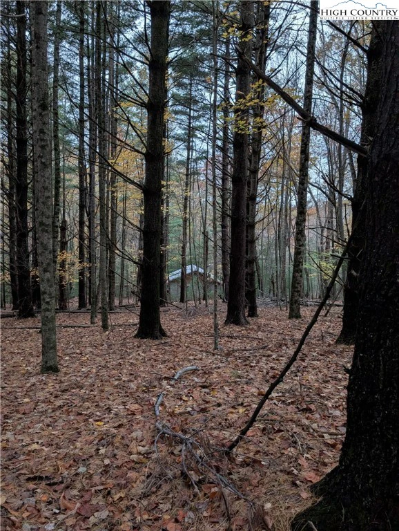 Image number 9 for the current listing