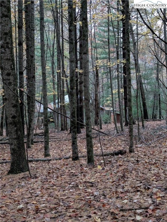 Image number 11 for the current listing