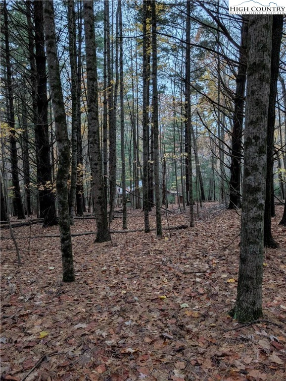 Image number 12 for the current listing