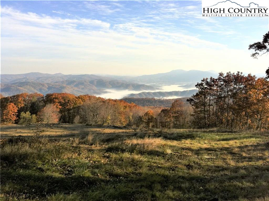 Image number 1 for the current listing