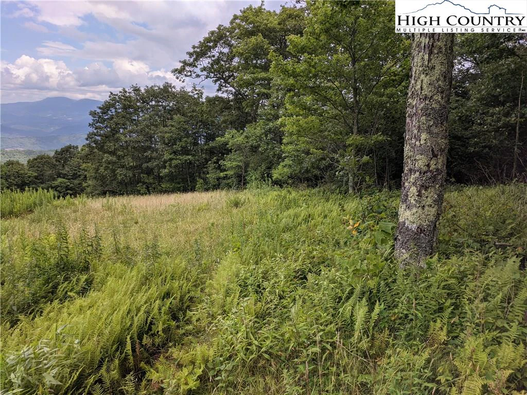Image number 21 for the current listing