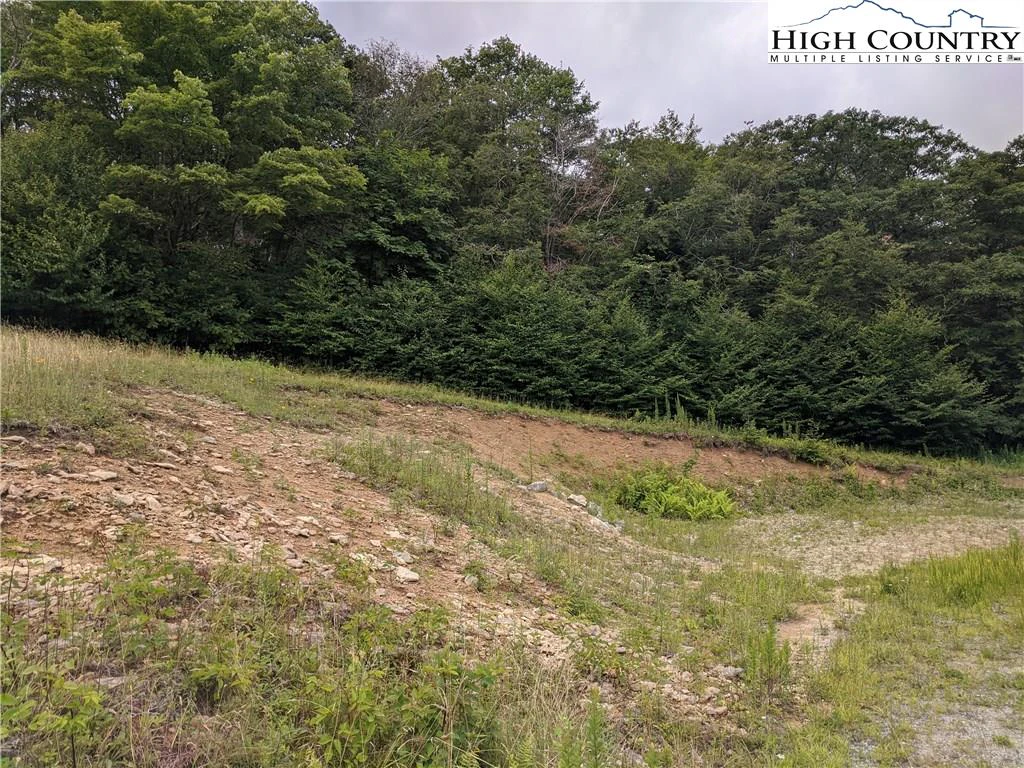Image number 20 for the current listing