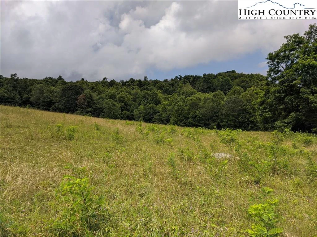 Image number 2 for the current listing