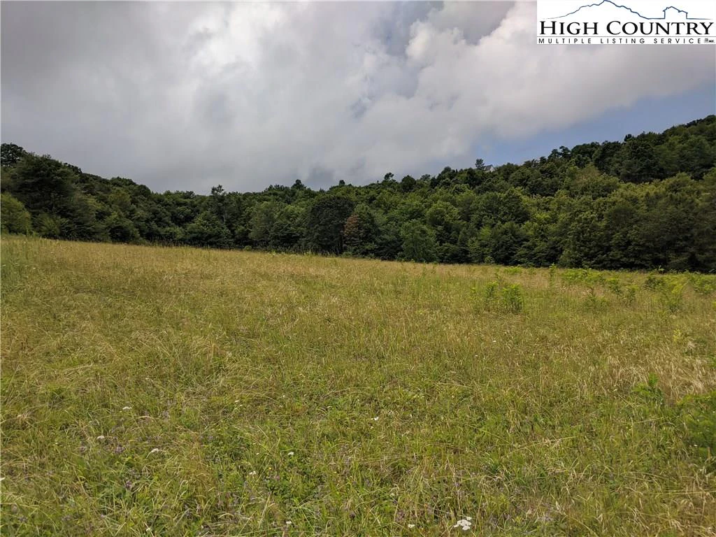 Image number 17 for the current listing