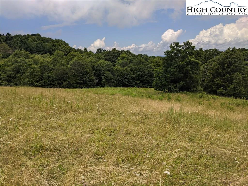 Image number 16 for the current listing