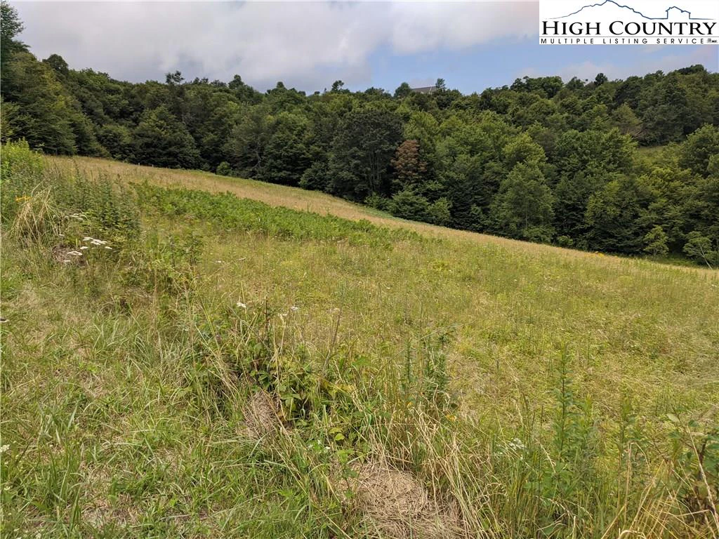Image number 15 for the current listing