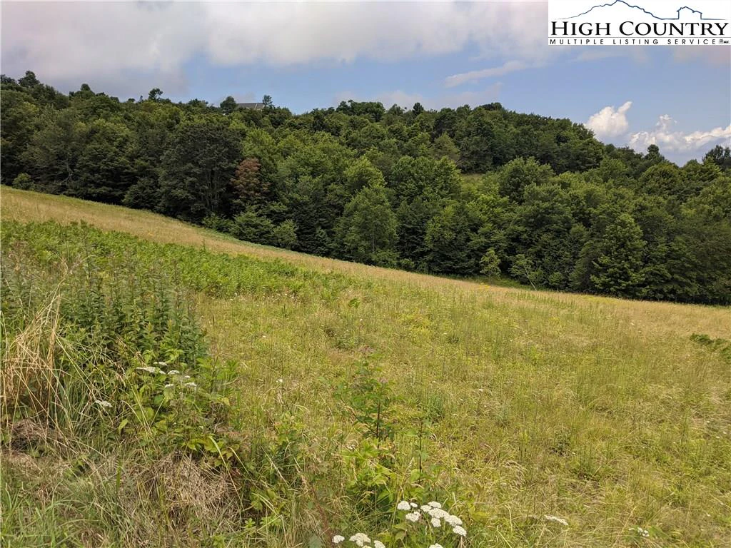 Image number 14 for the current listing