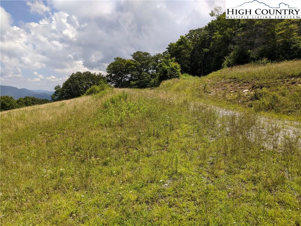 Image number 13 for the current listing