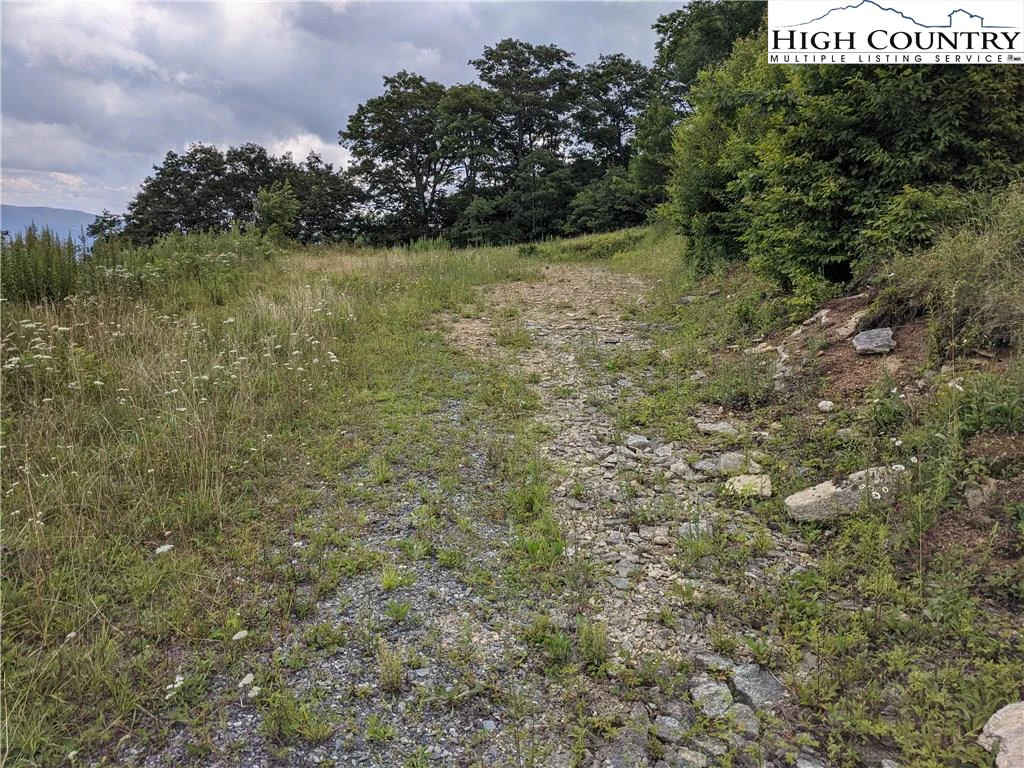 Image number 12 for the current listing