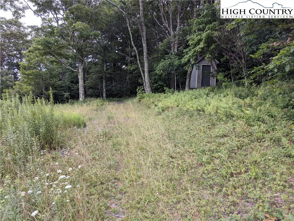 Image number 11 for the current listing