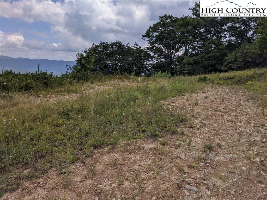 Image number 9 for the current listing