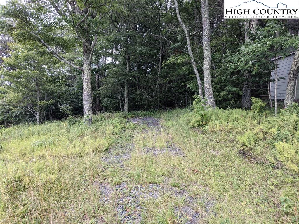 Image number 8 for the current listing