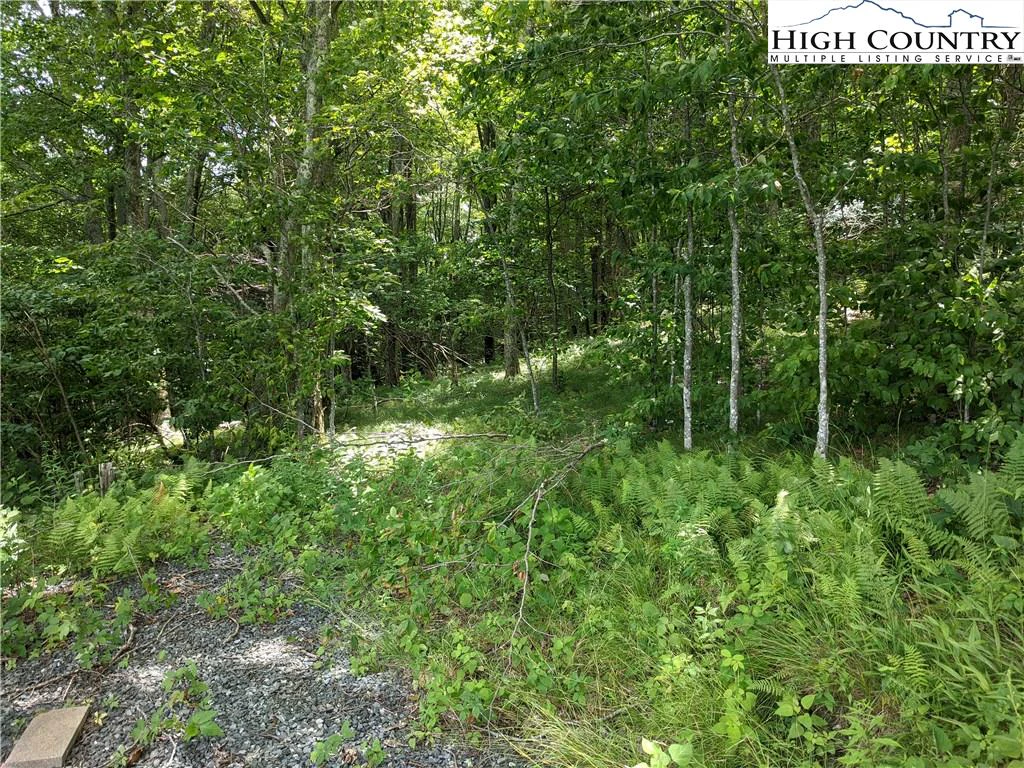 Image number 6 for the current listing