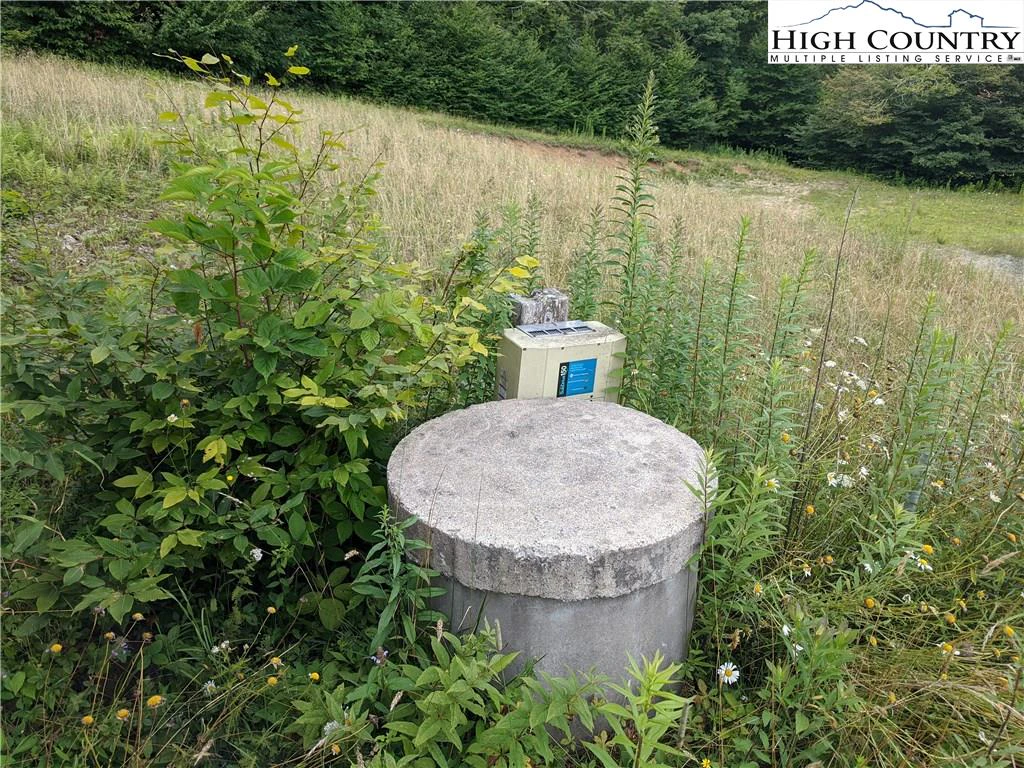 Image number 5 for the current listing