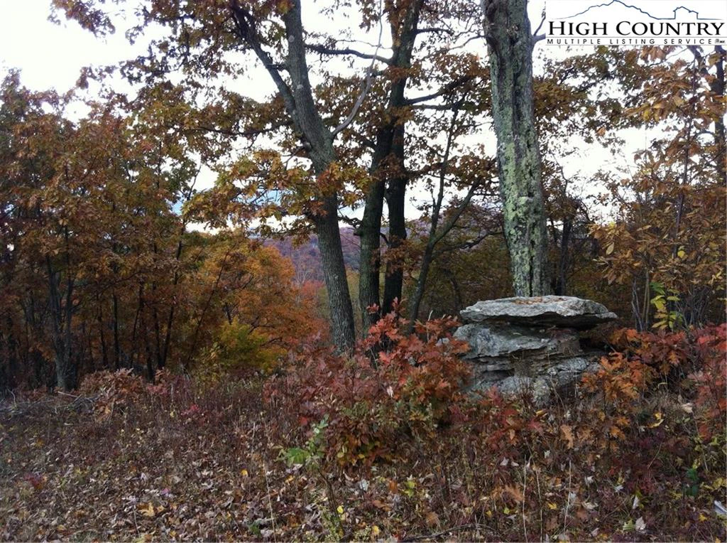 Image number 3 for the current listing