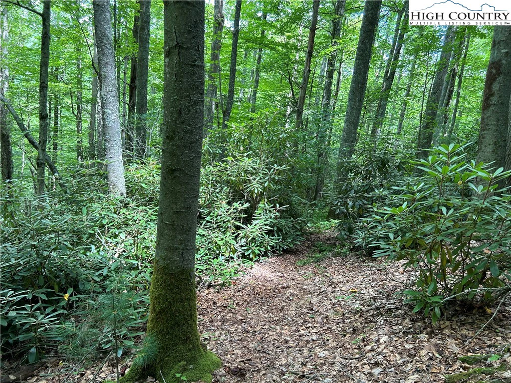 Image number 31 for the current listing