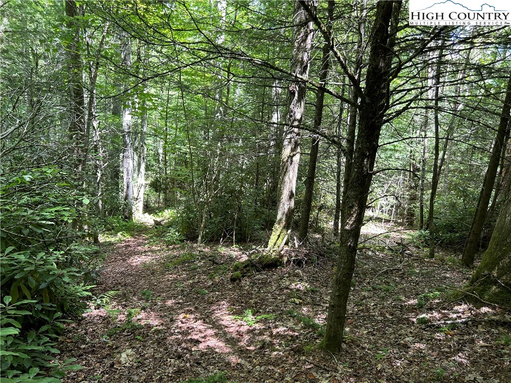 Image number 3 for the current listing