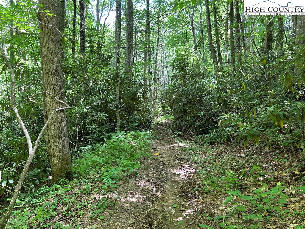Image number 7 for the current listing