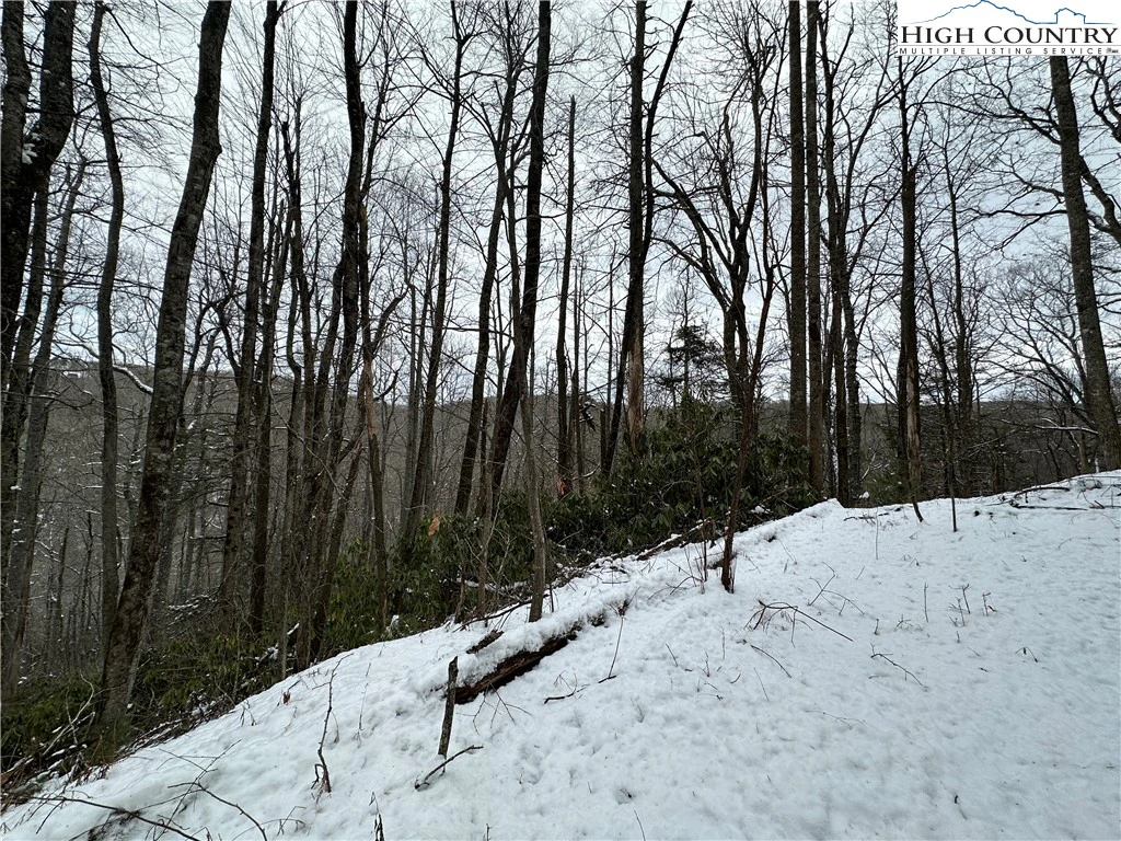 Image number 15 for the current listing