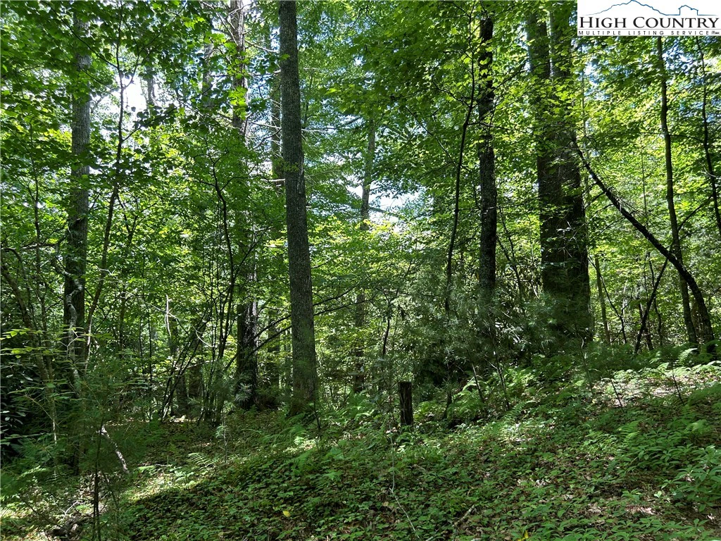 Image number 19 for the current listing
