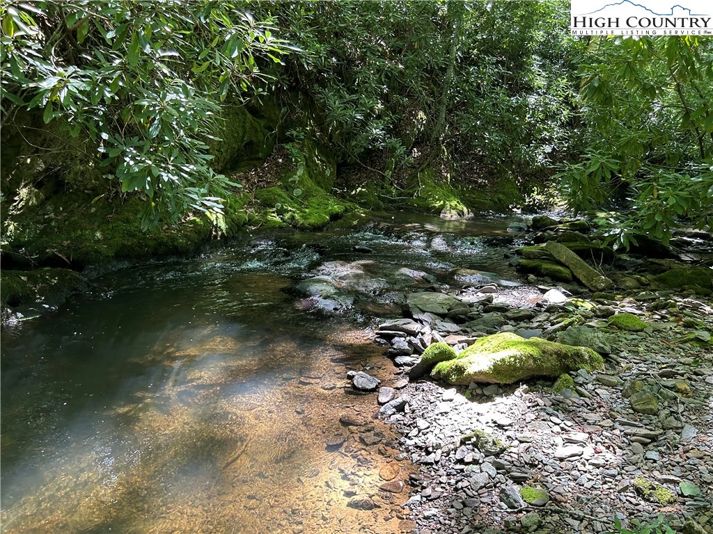 Image number 1 for the current listing