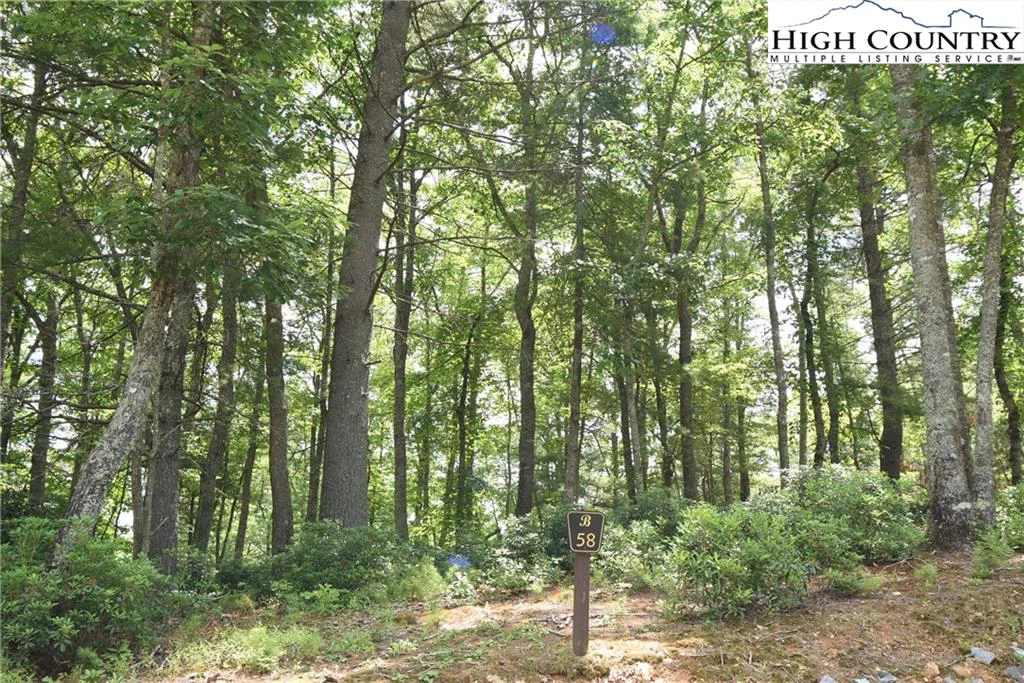 Image number 3 for the current listing