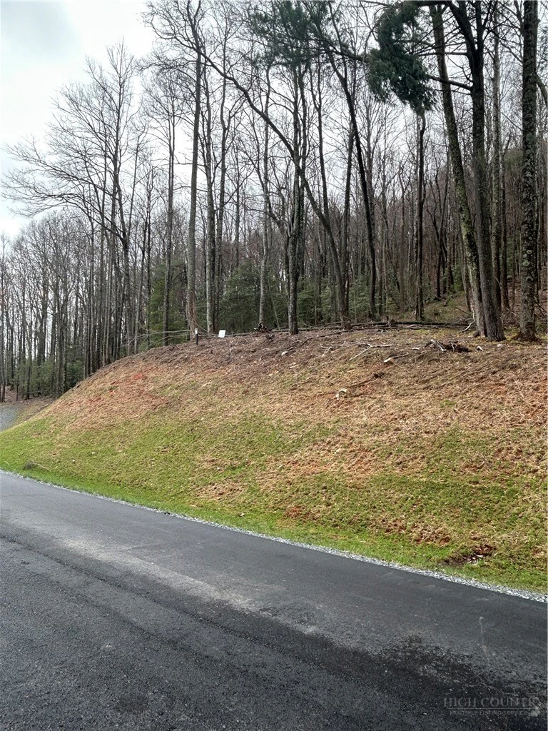 Image number 11 for the current listing