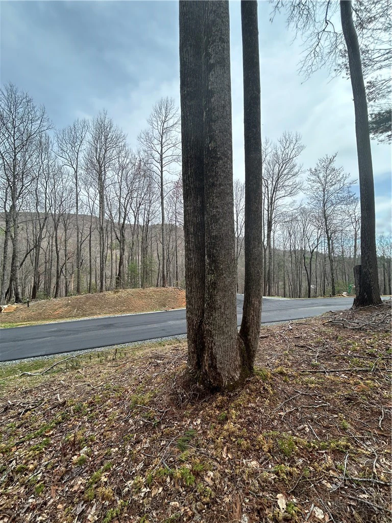 Image number 10 for the current listing