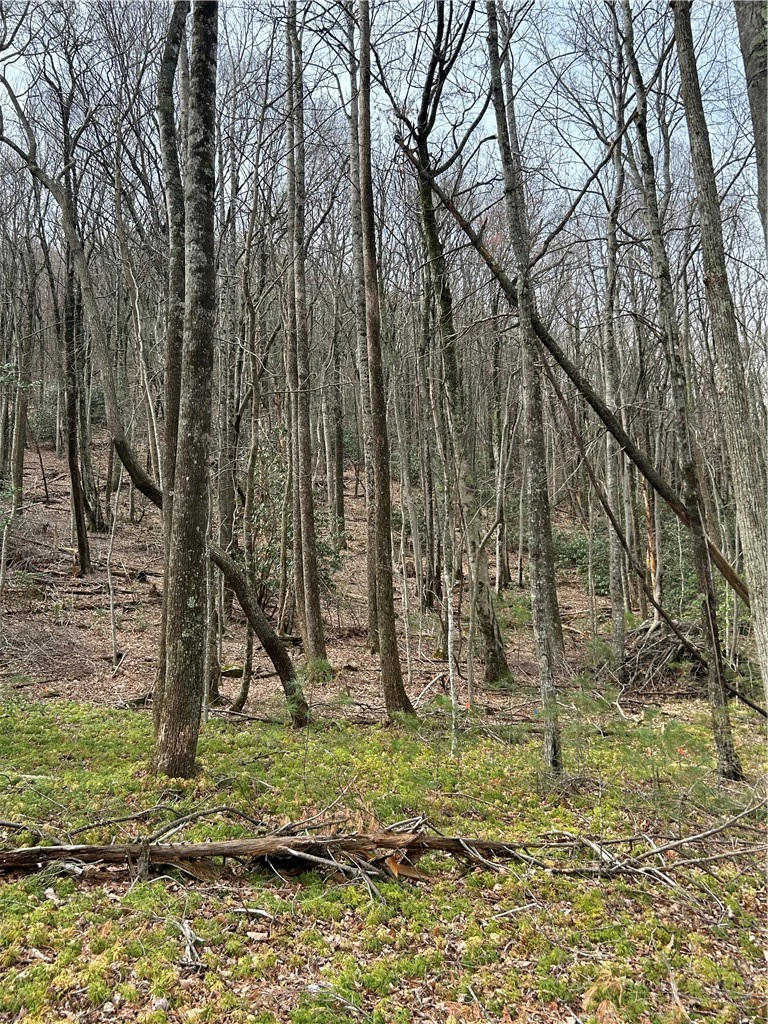 Image number 9 for the current listing