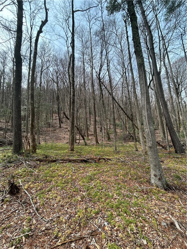 Image number 8 for the current listing