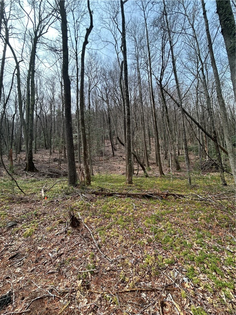 Image number 7 for the current listing