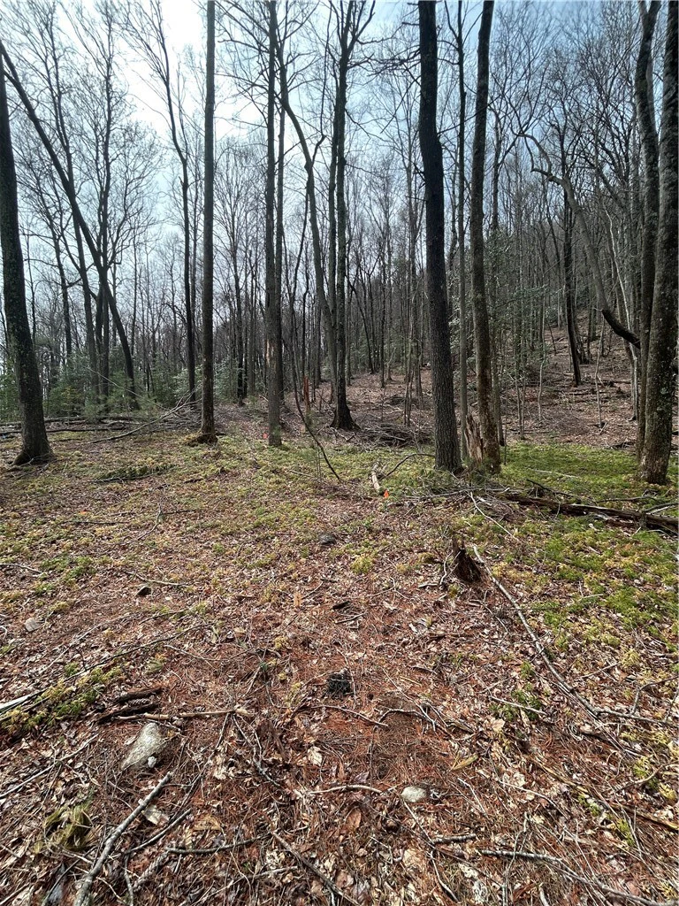 Image number 6 for the current listing