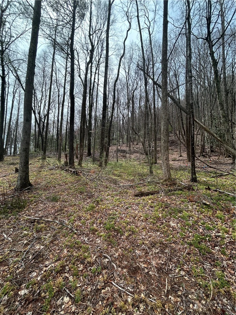 Image number 5 for the current listing
