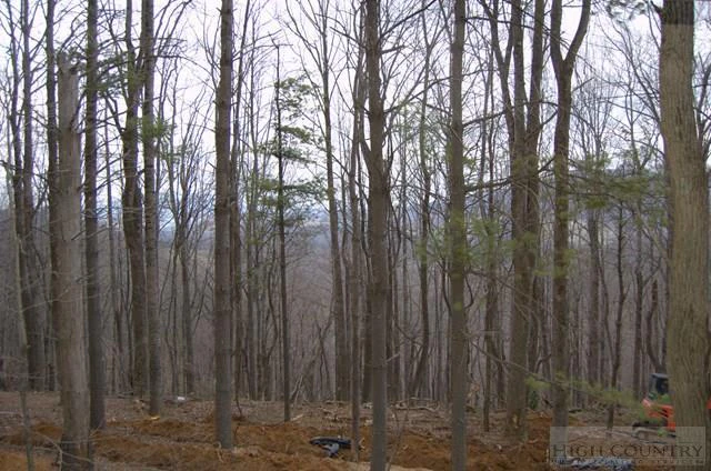 Image number 12 for the current listing