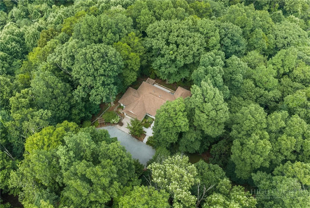 Image number 5 for the current listing