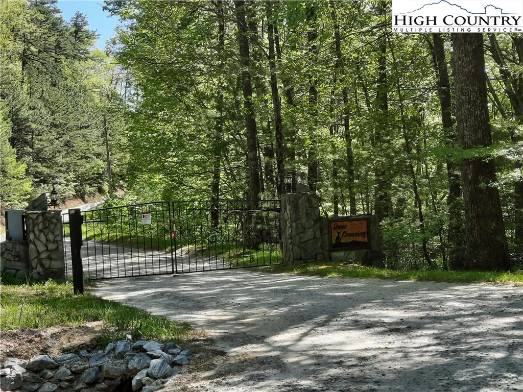 Image number 4 for the current listing