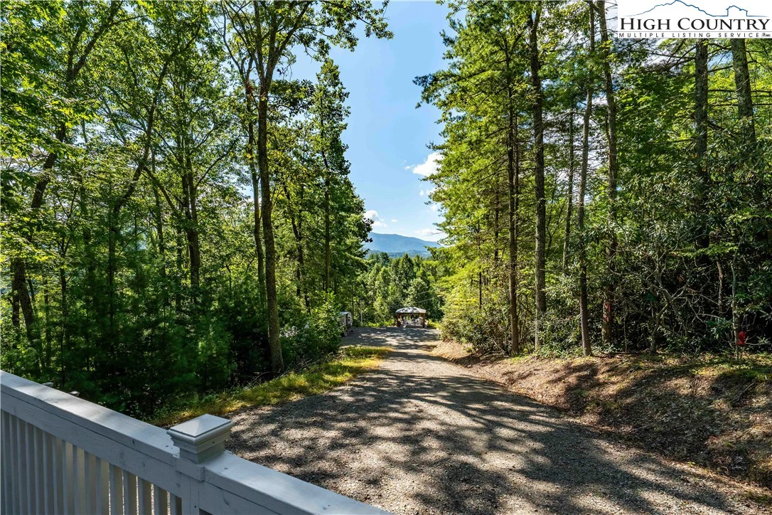 Image number 1 for the current listing