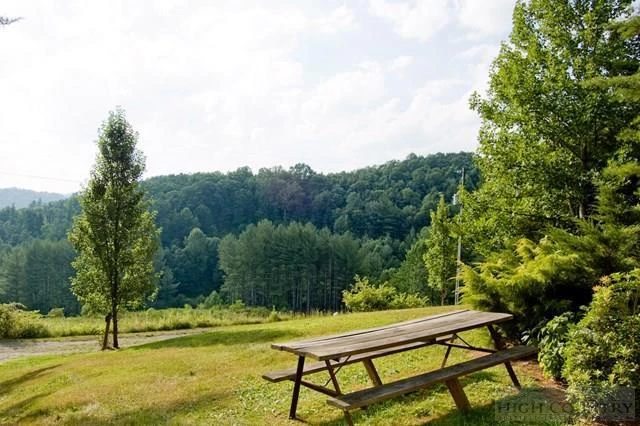 Image number 6 for the current listing