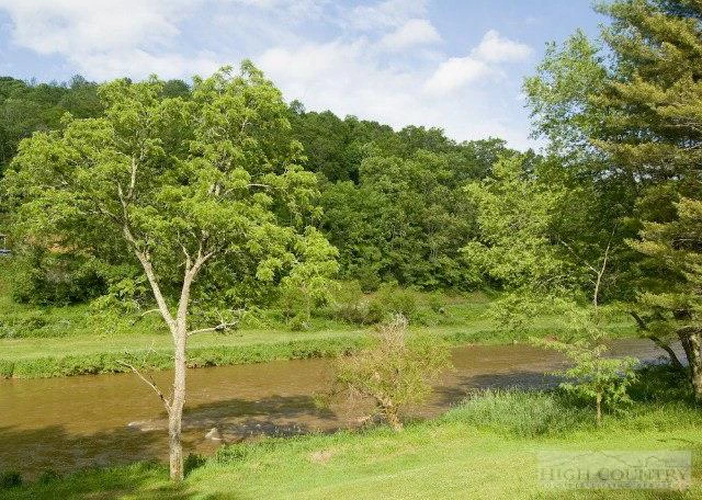 Image number 5 for the current listing