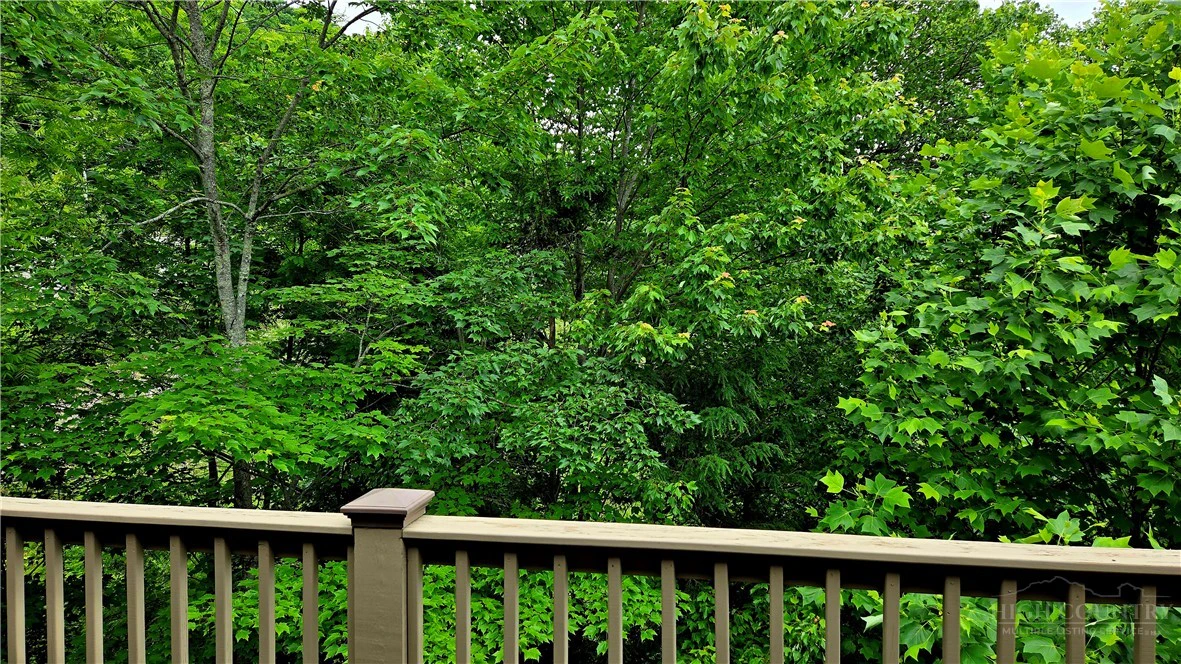 Image number 11 for the current listing