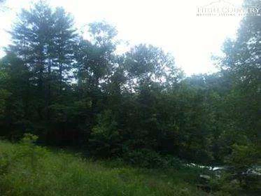 Image number 8 for the current listing