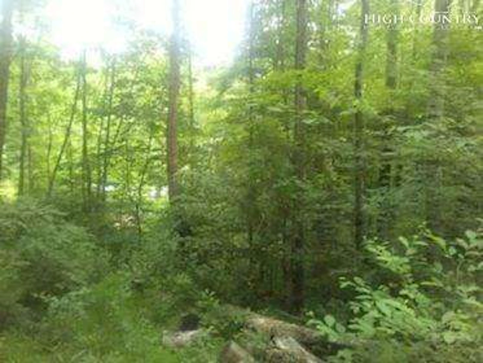 Image number 9 for the current listing