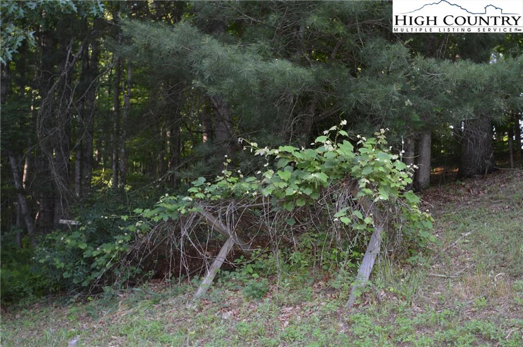 Image number 10 for the current listing
